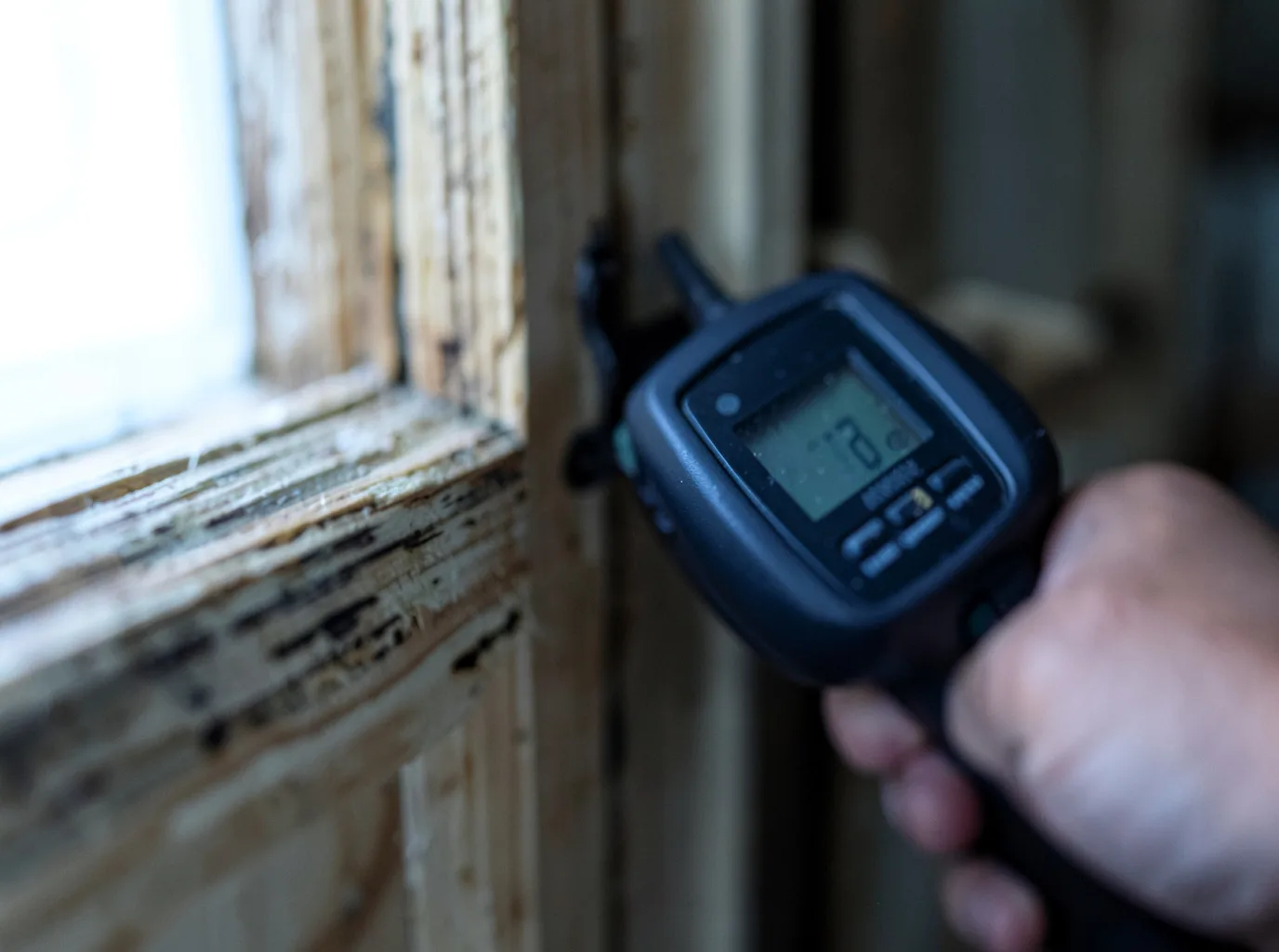 Moisture Inspection And Documentation in Brilliant, AL